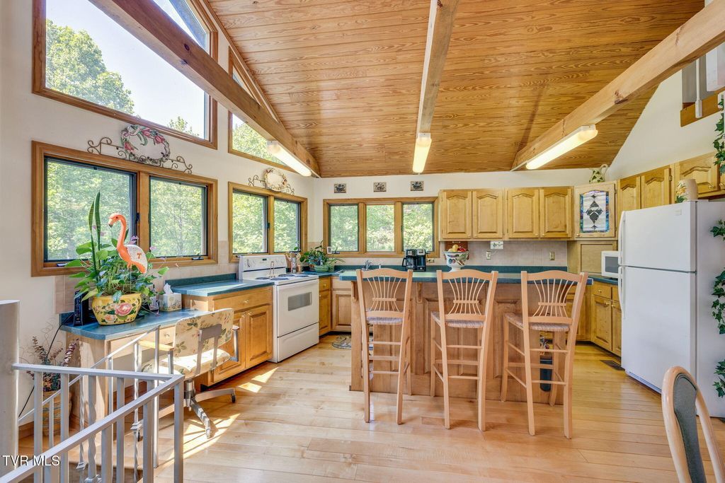 Photo of 497 Lakeview Drive, Butler, TN 37640 (MLS # 9995733)