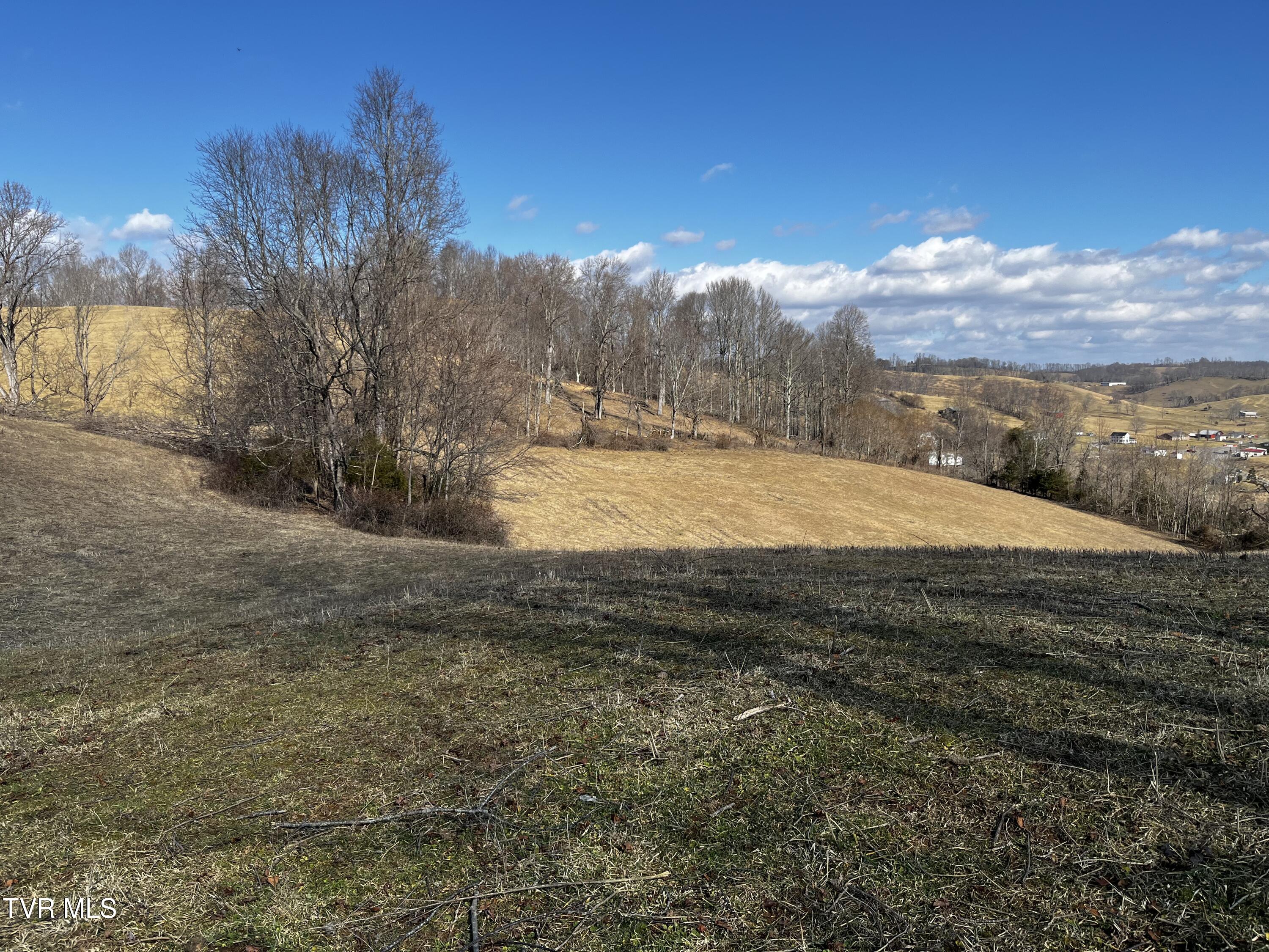 14251 Nickelsville Highway, Nickelsville, Virginia image 3