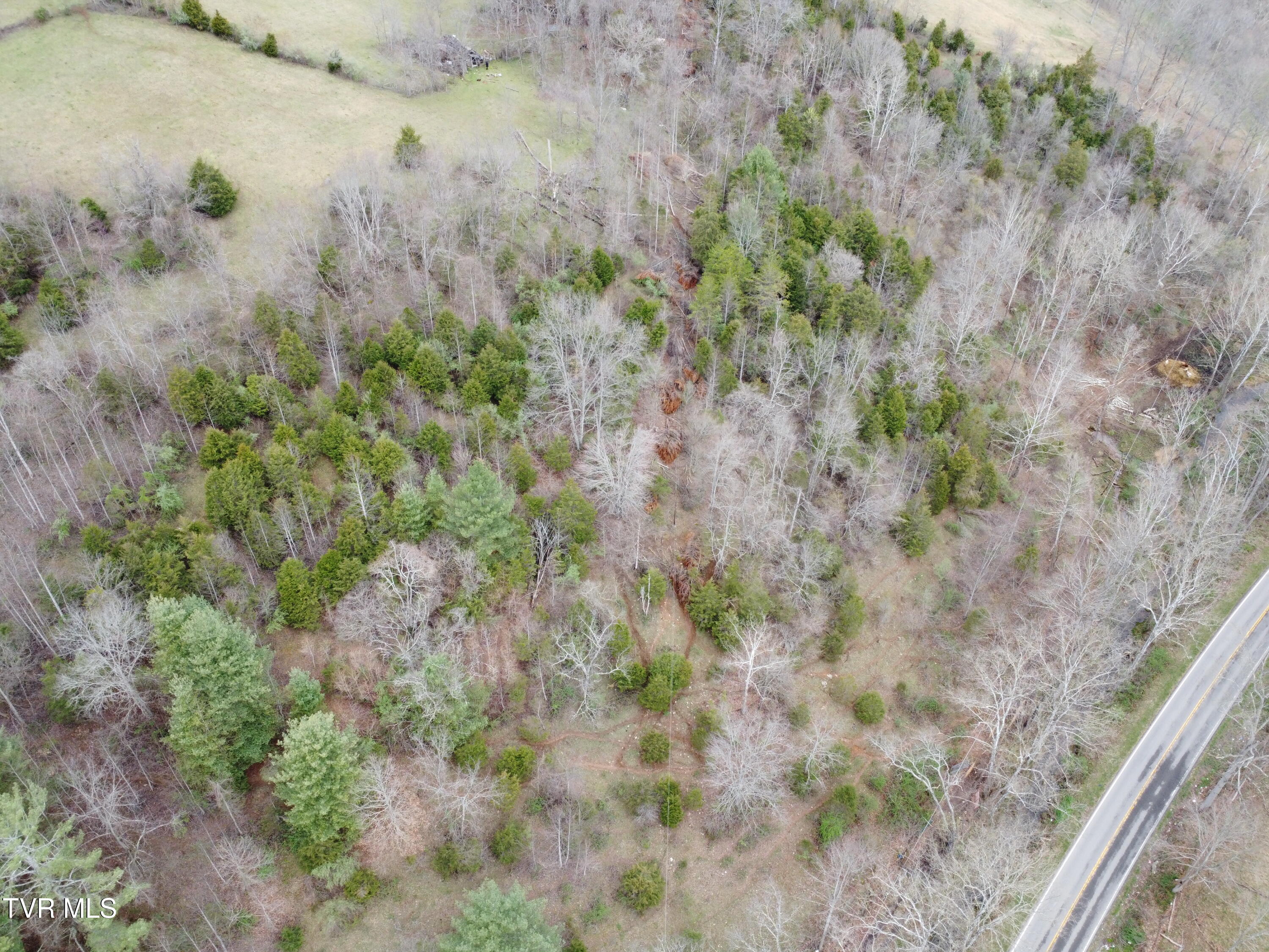 14251 Nickelsville Highway, Nickelsville, Virginia image 25