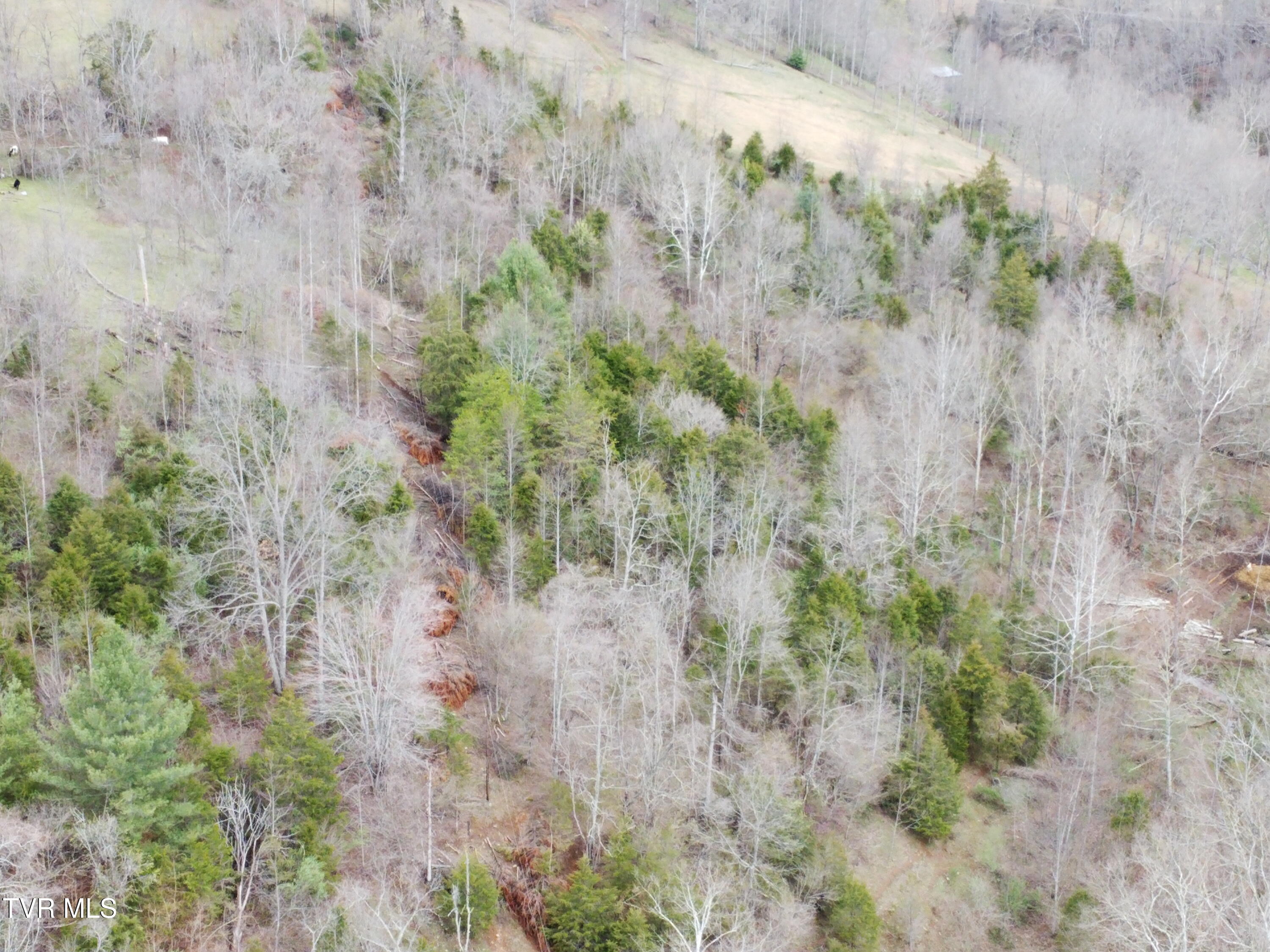 14251 Nickelsville Highway, Nickelsville, Virginia image 17