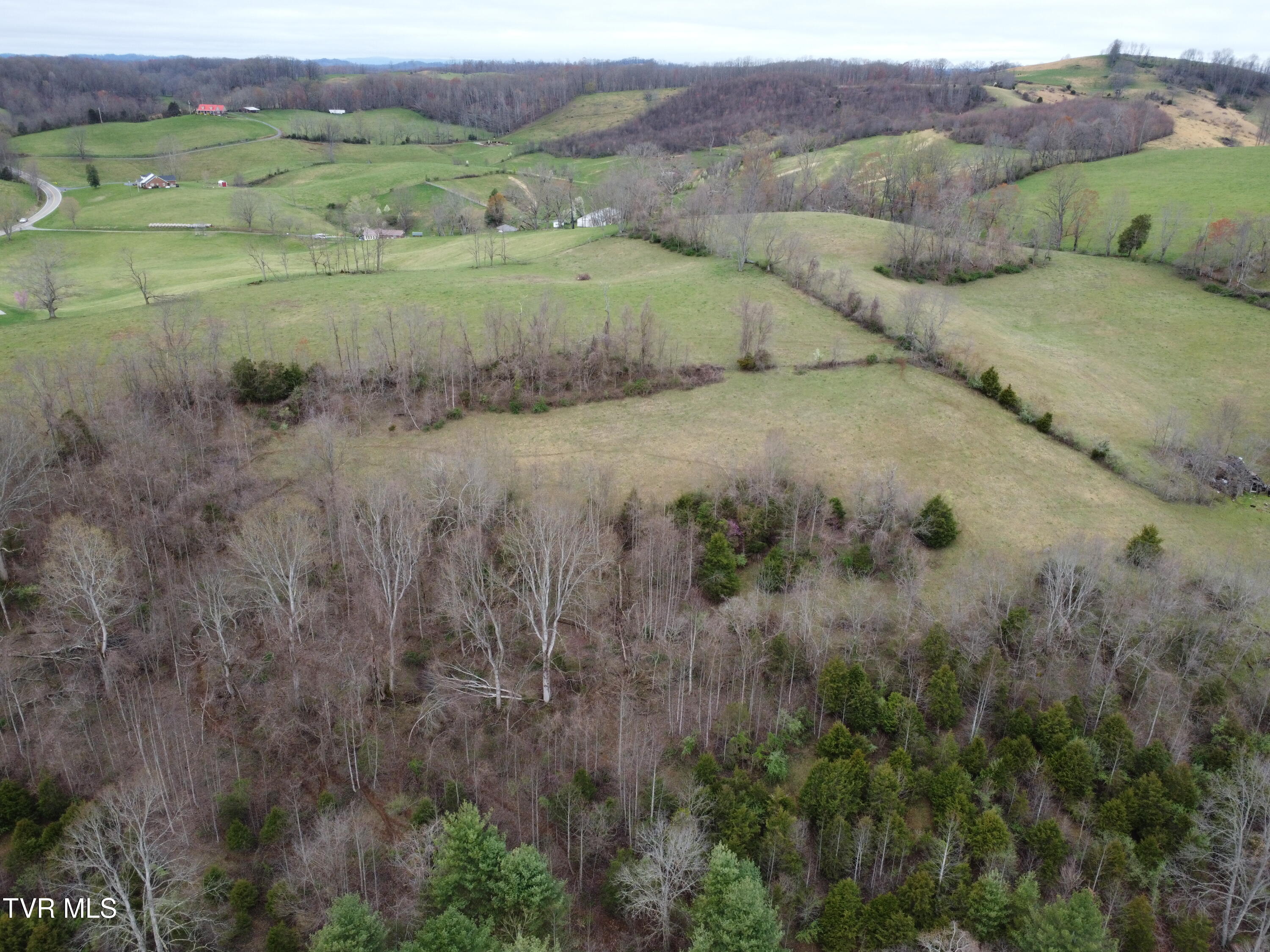 14251 Nickelsville Highway, Nickelsville, Virginia image 20