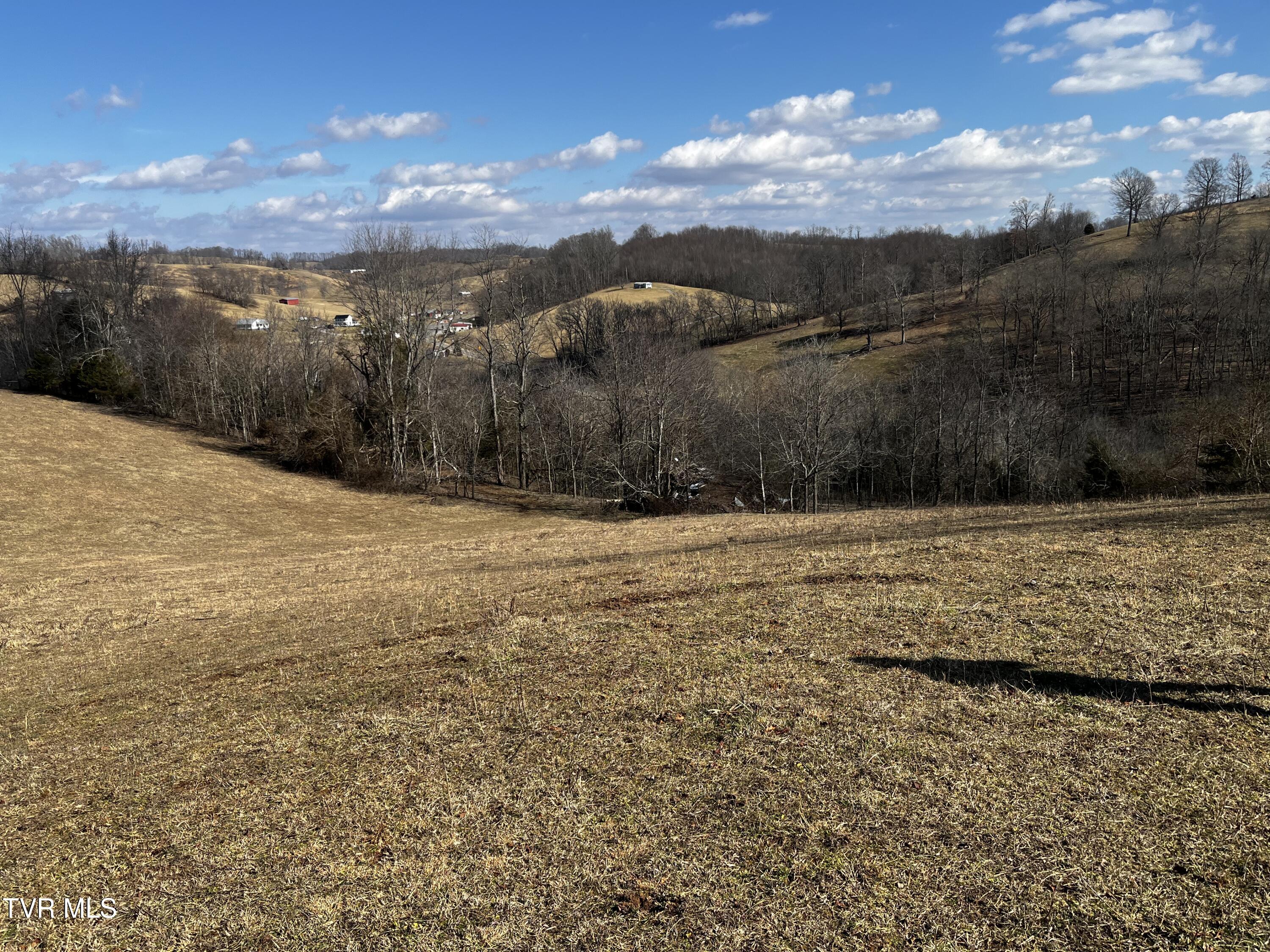 14251 Nickelsville Highway, Nickelsville, Virginia image 12