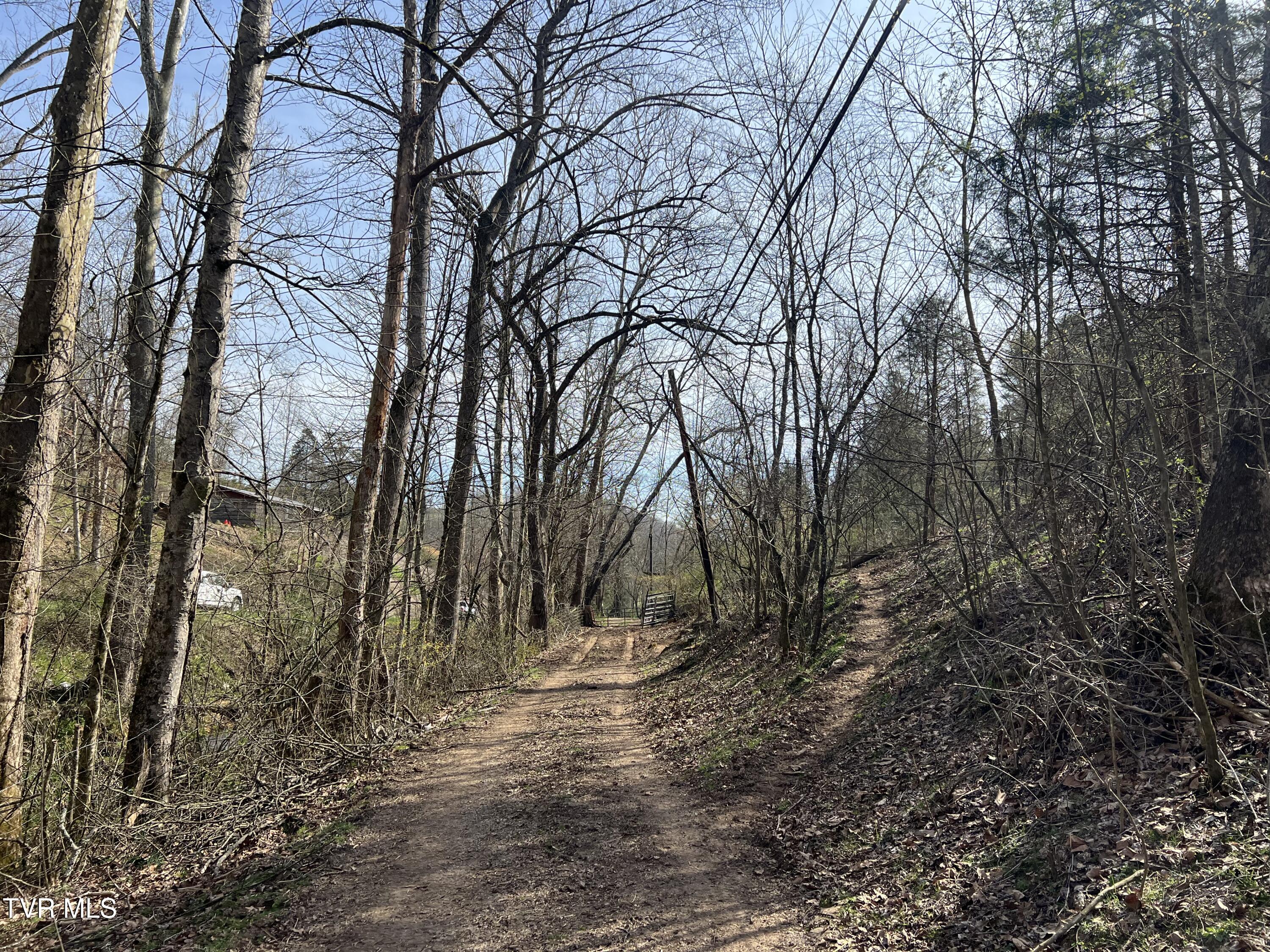 14251 Nickelsville Highway, Nickelsville, Virginia image 13