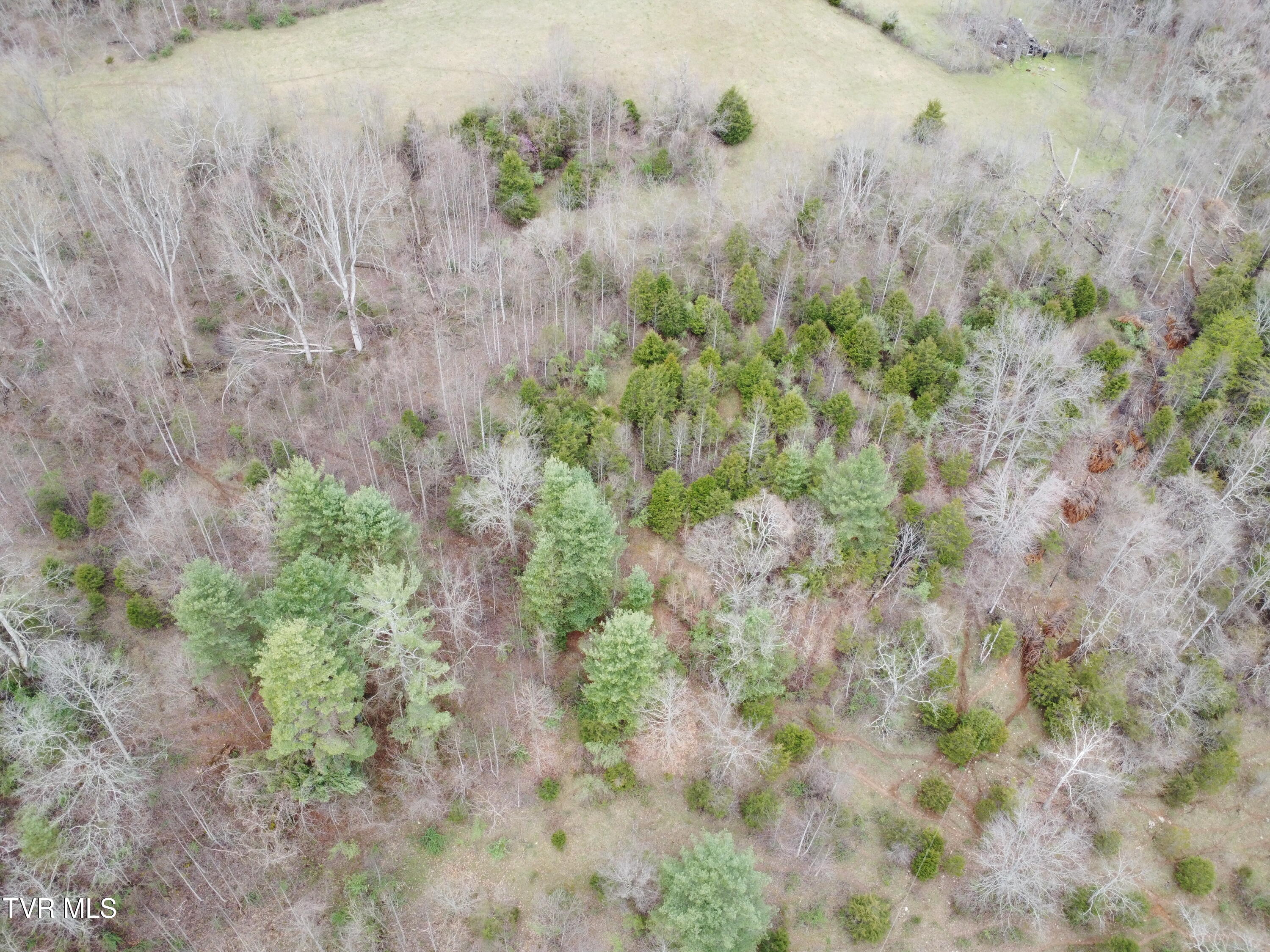 14251 Nickelsville Highway, Nickelsville, Virginia image 23