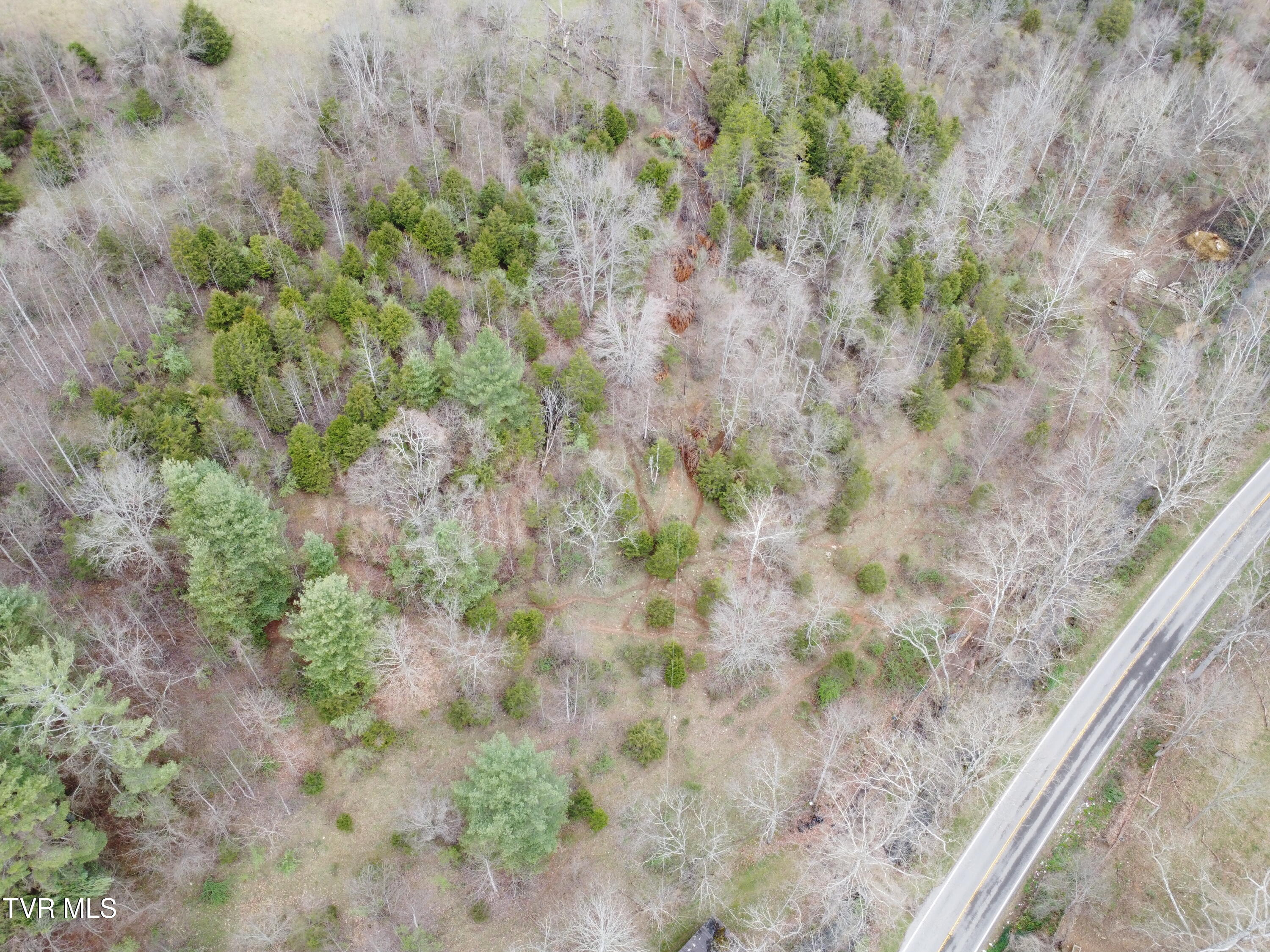 14251 Nickelsville Highway, Nickelsville, Virginia image 30