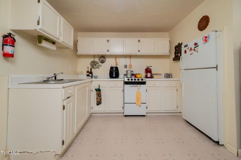 Tiny photo for 19254 Stone Mountain Road, Abingdon, VA 24210 (MLS # 9986482)