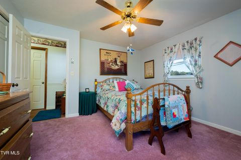 Tiny photo for 19254 Stone Mountain Road, Abingdon, VA 24210 (MLS # 9986482)