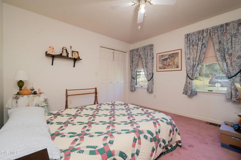 Tiny photo for 19254 Stone Mountain Road, Abingdon, VA 24210 (MLS # 9986482)