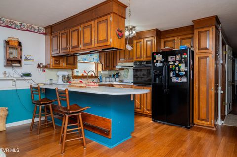 Tiny photo for 19254 Stone Mountain Road, Abingdon, VA 24210 (MLS # 9986482)