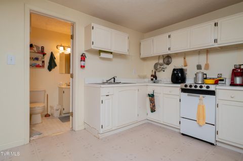Tiny photo for 19254 Stone Mountain Road, Abingdon, VA 24210 (MLS # 9986482)