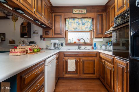 Tiny photo for 19254 Stone Mountain Road, Abingdon, VA 24210 (MLS # 9986482)