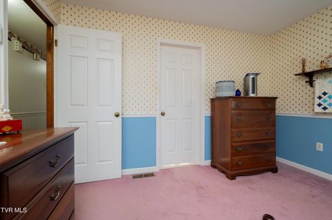 Tiny photo for 19254 Stone Mountain Road, Abingdon, VA 24210 (MLS # 9986482)