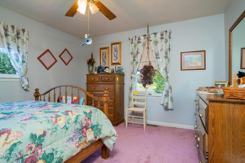 Tiny photo for 19254 Stone Mountain Road, Abingdon, VA 24210 (MLS # 9986482)