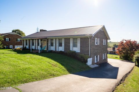 Photo of 19254 Stone Mountain Road, Abingdon, VA 24210 (MLS # 9986482)