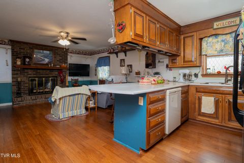 Tiny photo for 19254 Stone Mountain Road, Abingdon, VA 24210 (MLS # 9986482)