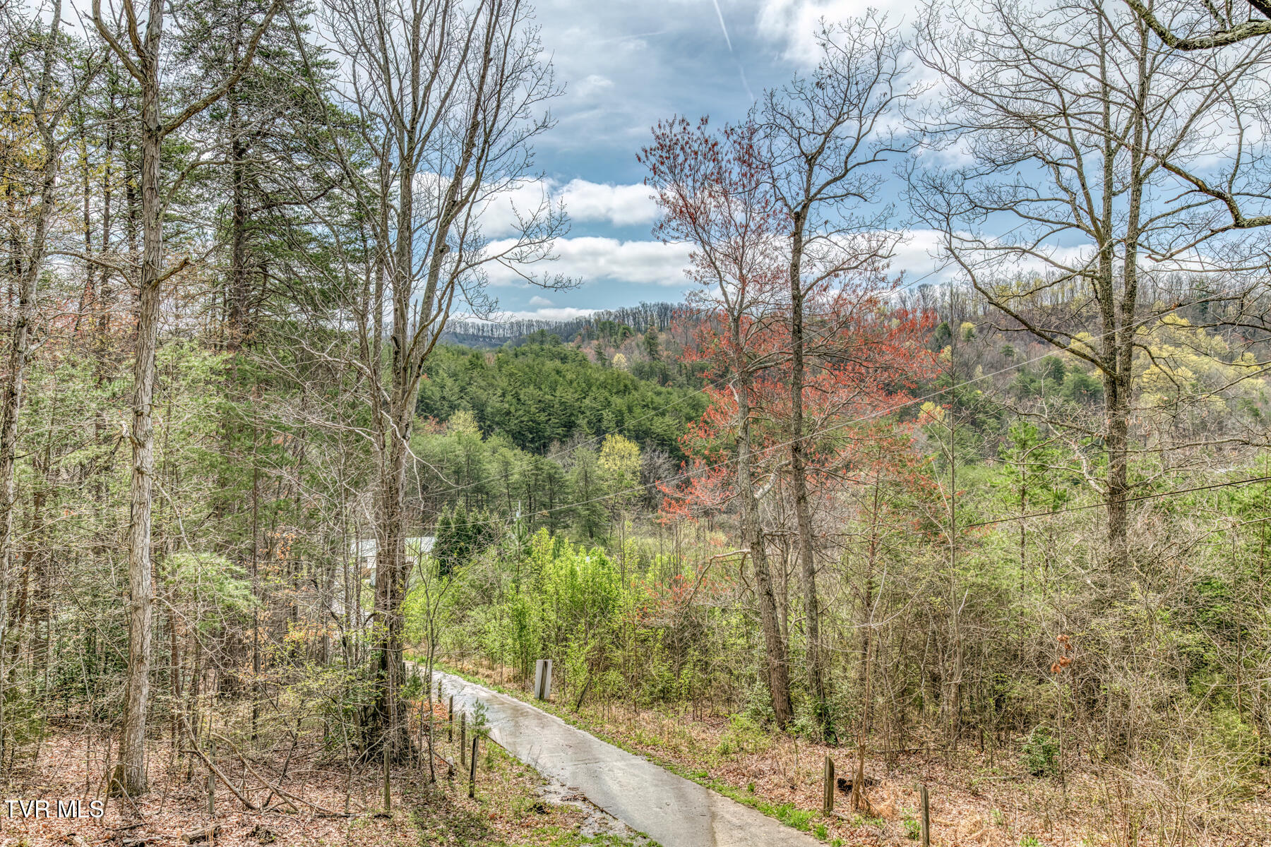 871 Mountain View Road, Rogersville, Tennessee image 29
