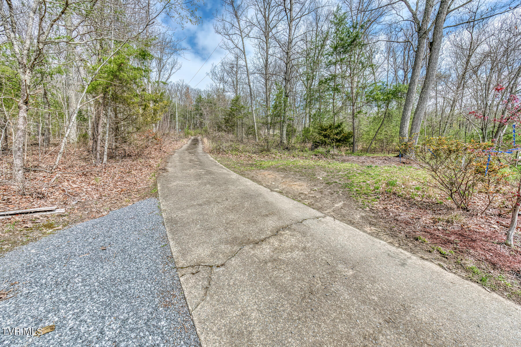 871 Mountain View Road, Rogersville, Tennessee image 30