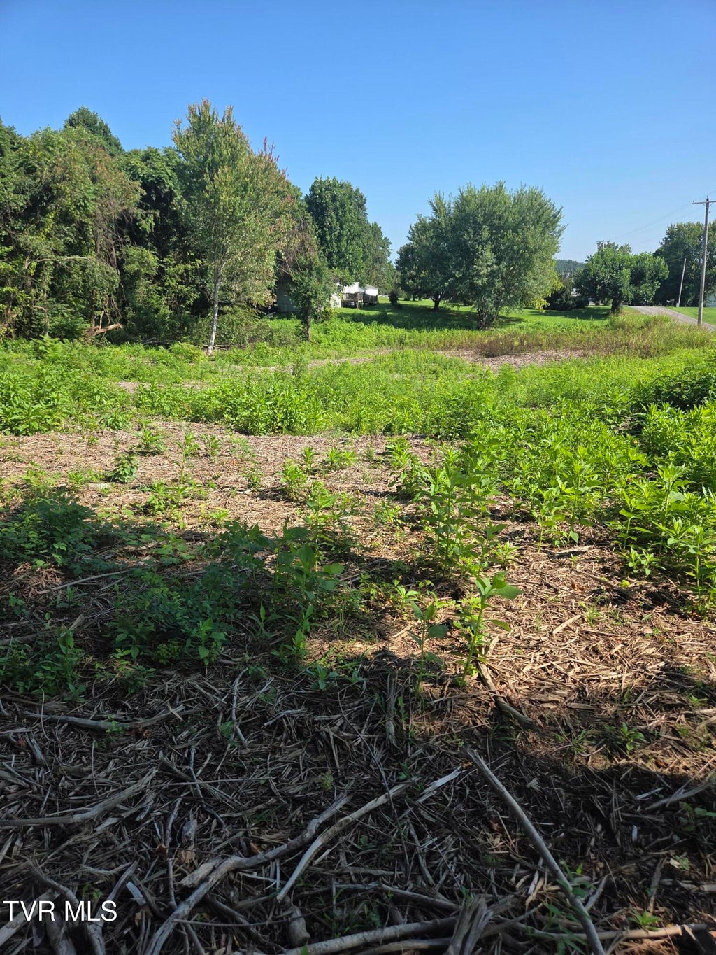 Photo of 221 Cassi Road, Chuckey, TN 37641 (MLS # 9998757)