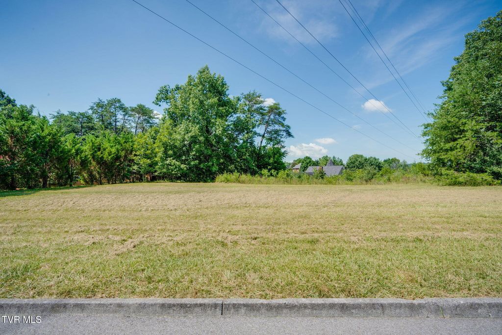 Photo of 1796 Buckingham Court, Kingsport, TN 37660 (MLS # 9998303)
