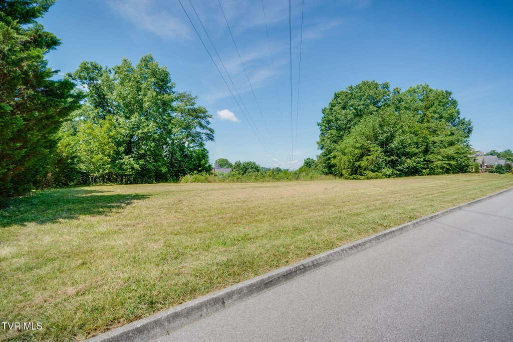 Photo of 1796 Buckingham Court, Kingsport, TN 37660 (MLS # 9998303)
