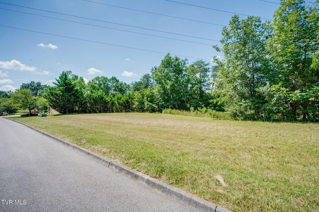 Photo of 1796 Buckingham Court, Kingsport, TN 37660 (MLS # 9998303)