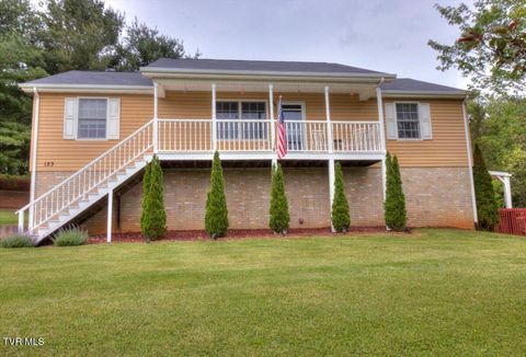 Photo of 123 Bermuda Drive, Jonesborough, TN 37659 (MLS # 9991738)