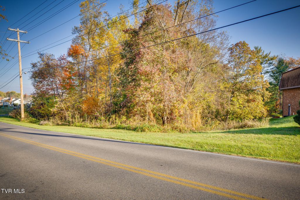 Photo of Tbd Old Jonesborough Road, Jonesborough, TN 37659 (MLS # 9989779)