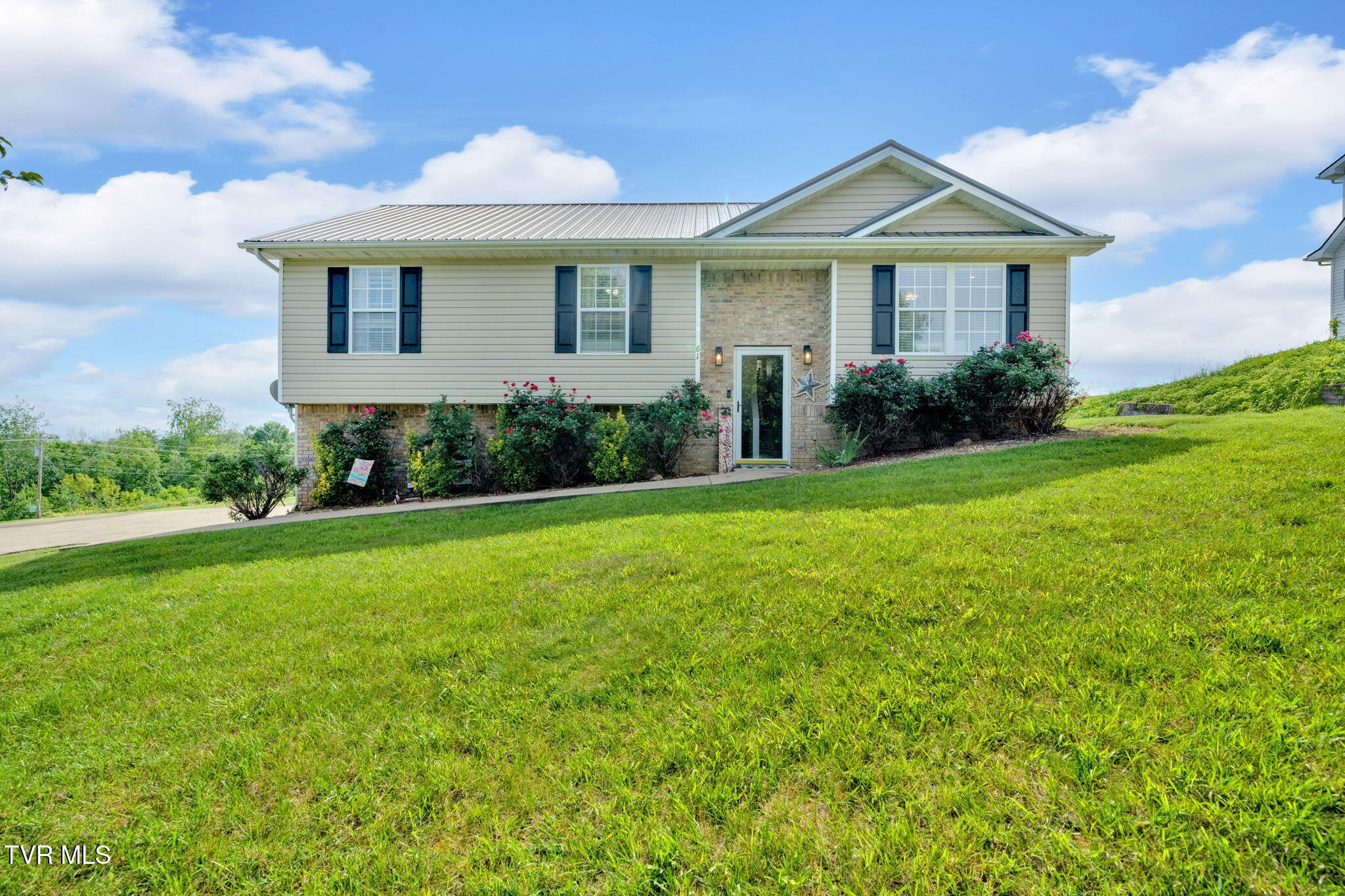 61 Ridges Drive, Chuckey, Tennessee image 1