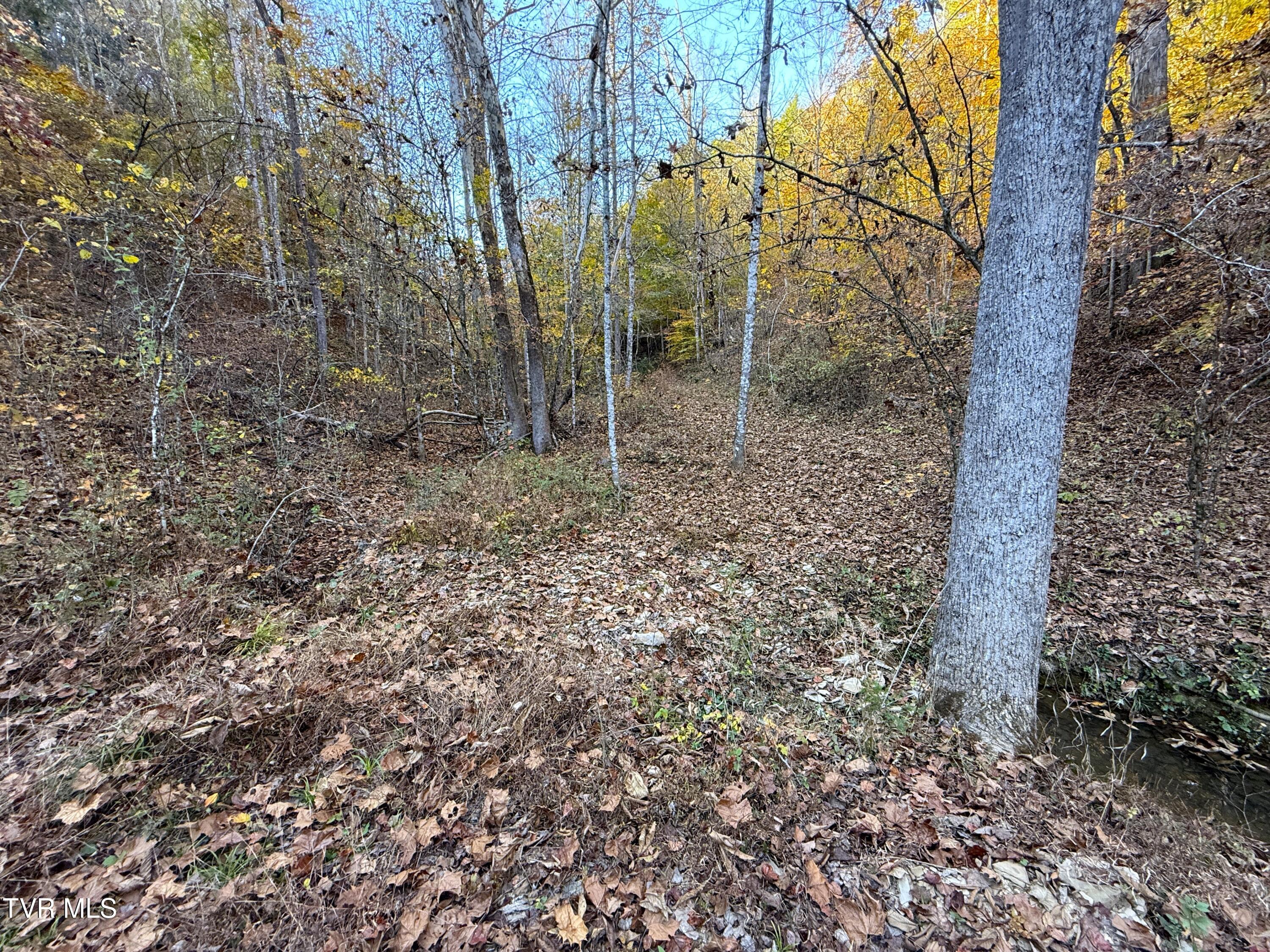 Tract 7 Topaz Way, Parrottsville, Tennessee image 8