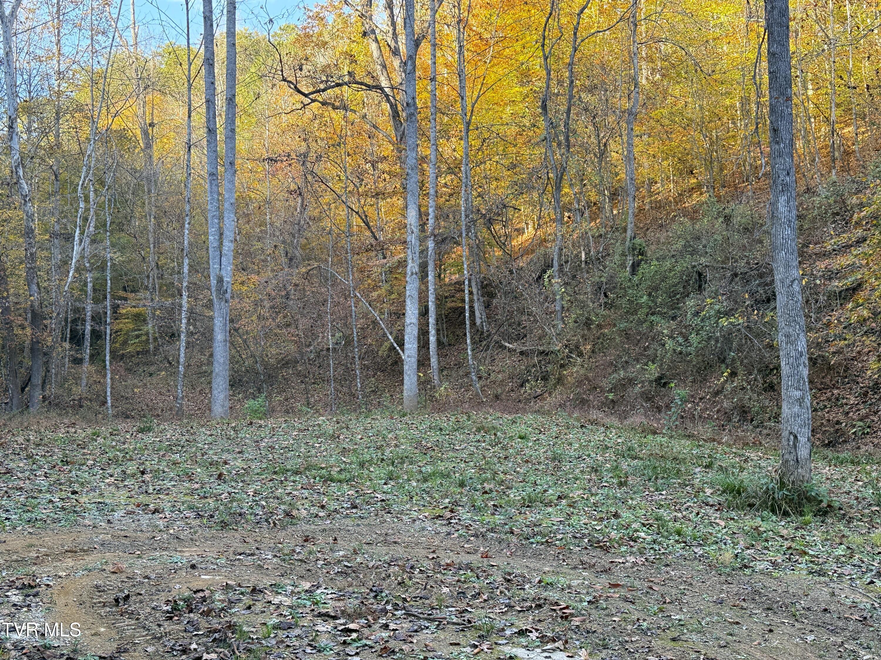 Tract 7 Topaz Way, Parrottsville, Tennessee image 4