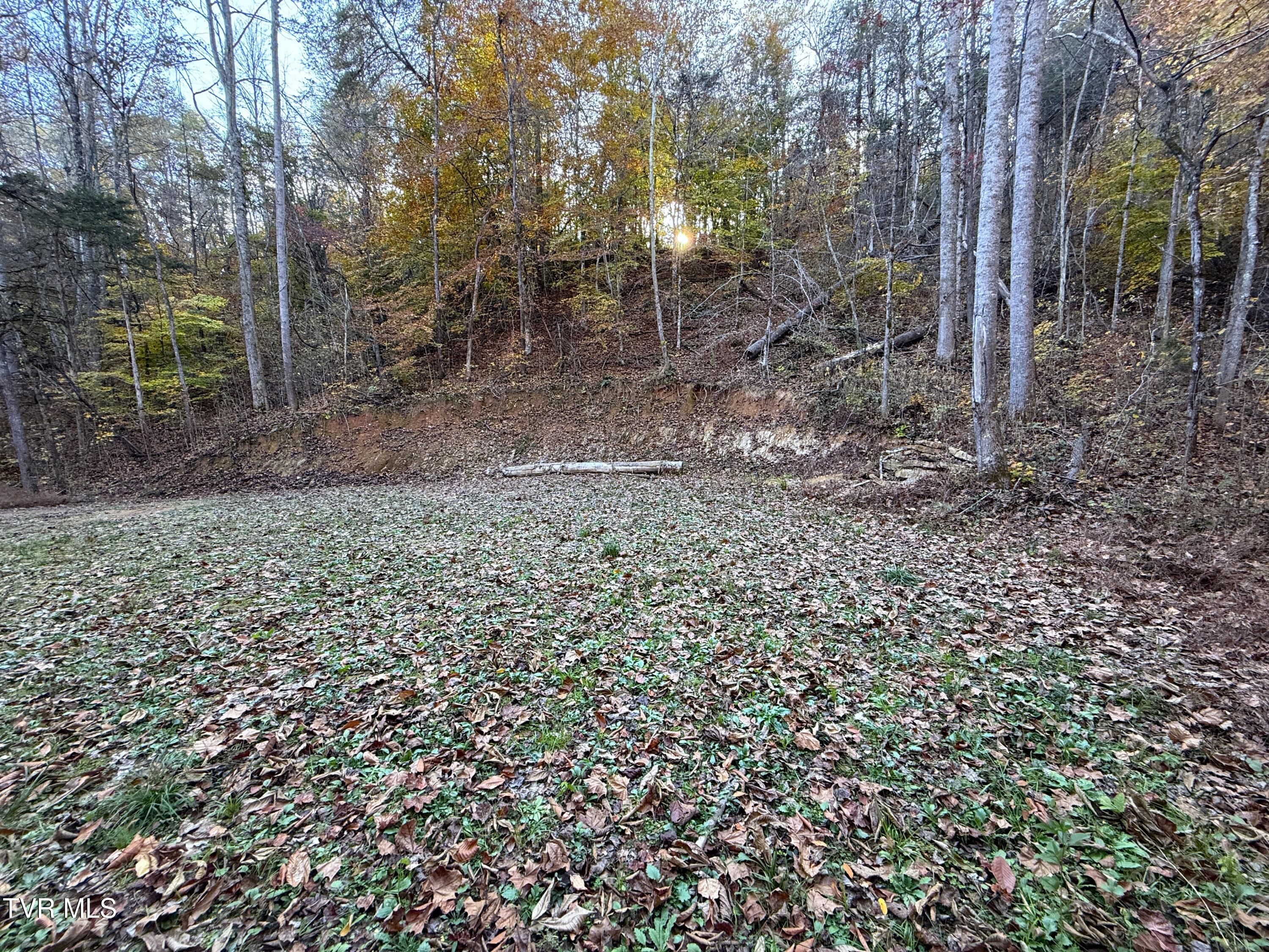 Tract 7 Topaz Way, Parrottsville, Tennessee image 6