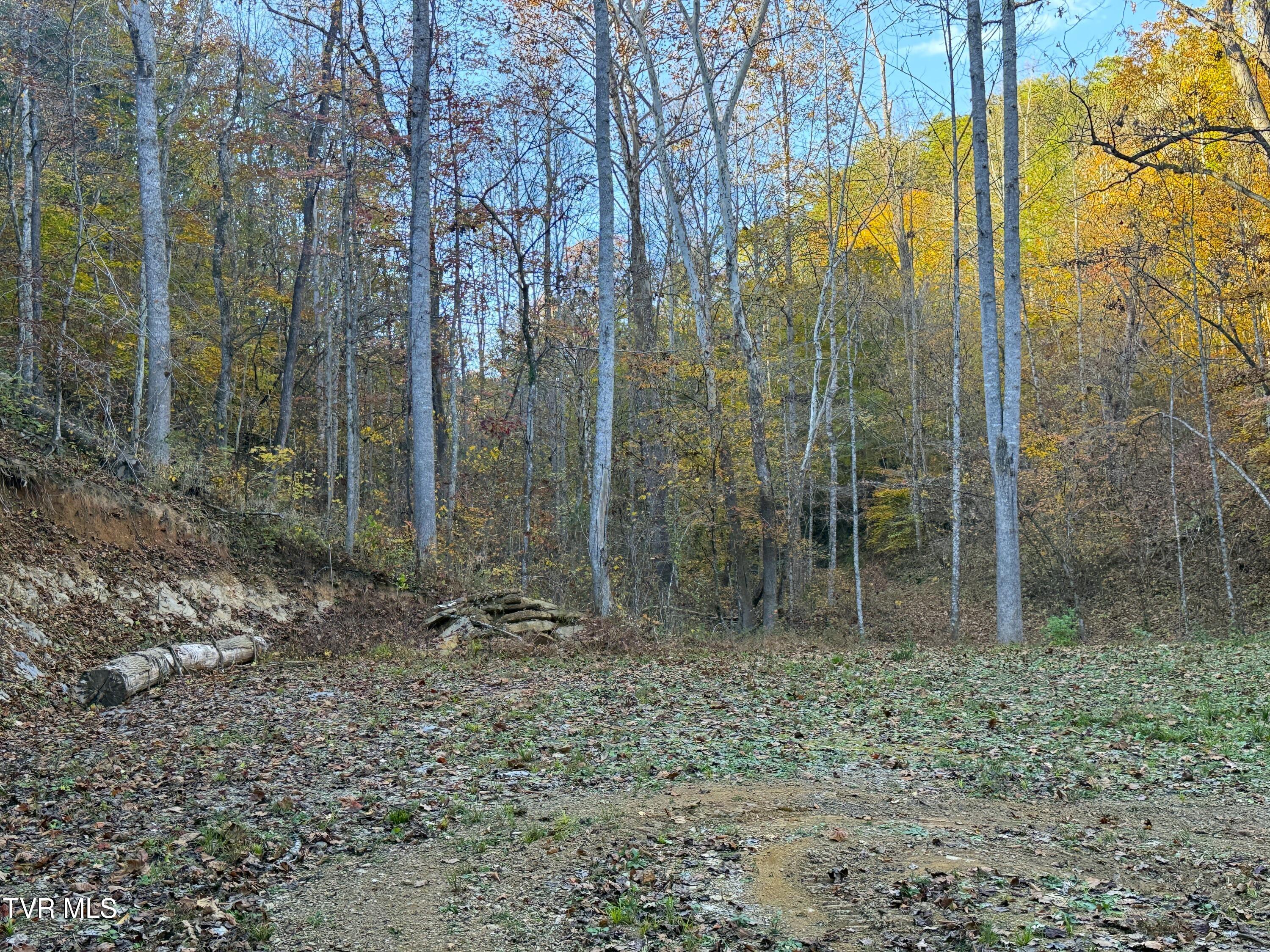 Tract 7 Topaz Way, Parrottsville, Tennessee image 3