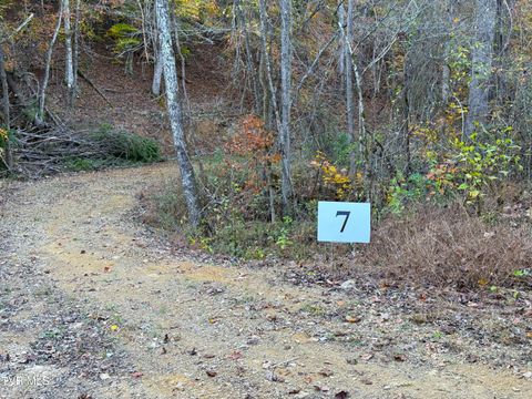 Vacant Land For Sale - TRACT 7 Topaz Way<br/> Parrottsville, TN 37843