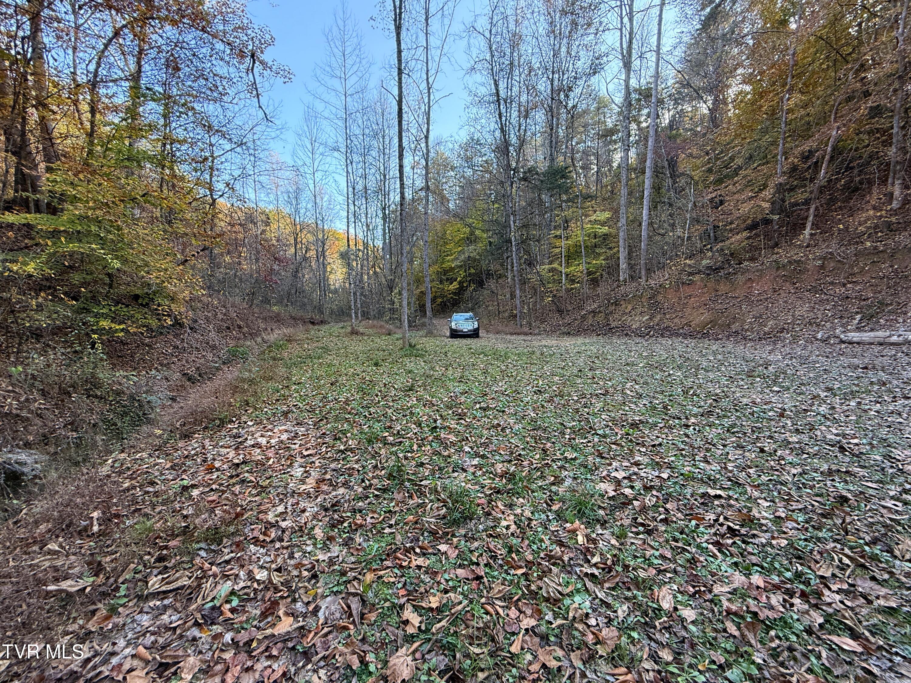 Tract 7 Topaz Way, Parrottsville, Tennessee image 7