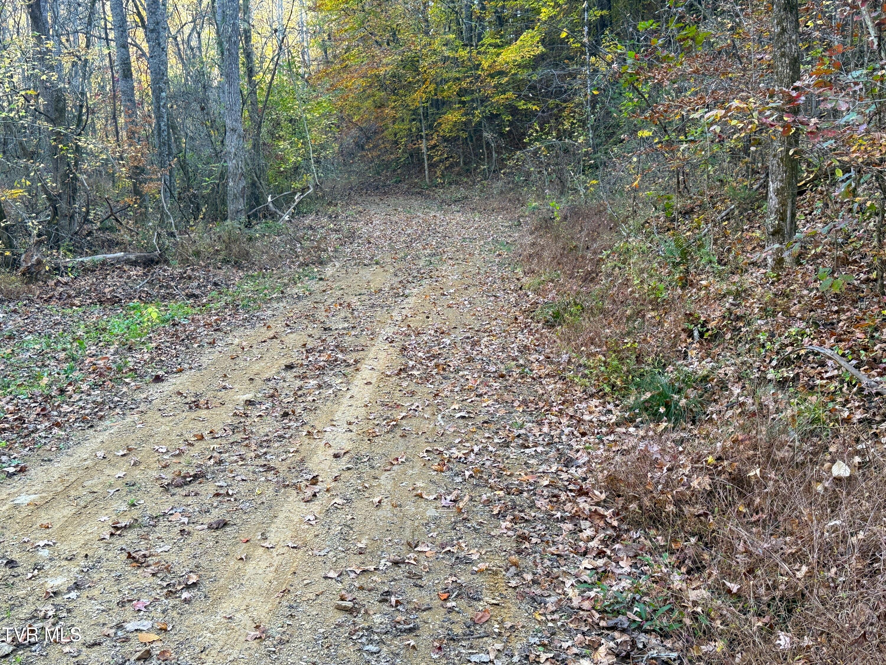Tract 7 Topaz Way, Parrottsville, Tennessee image 2