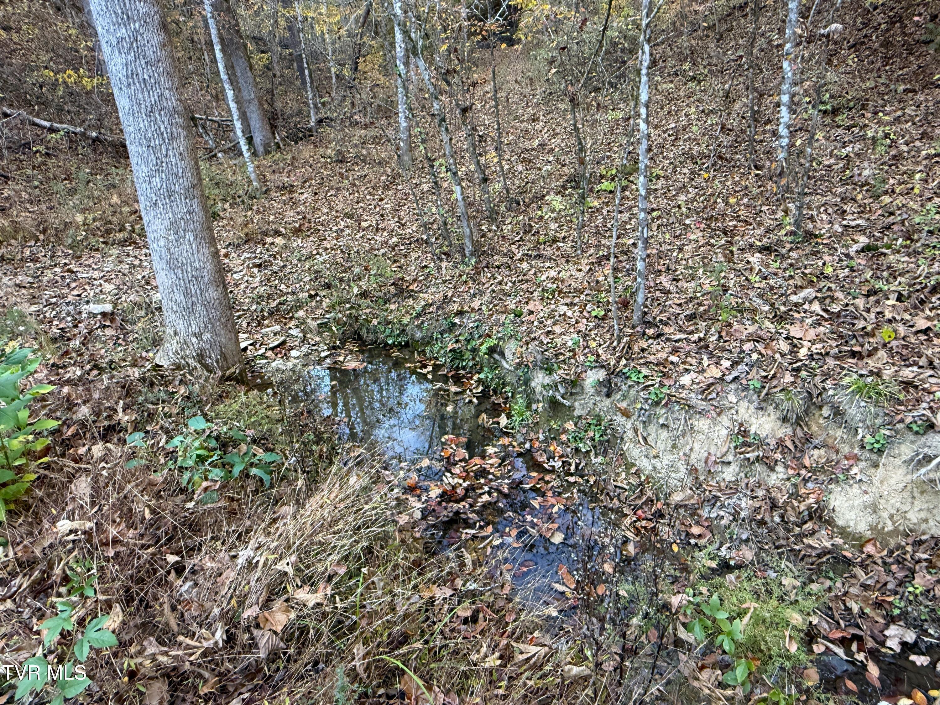 Tract 7 Topaz Way, Parrottsville, Tennessee image 5