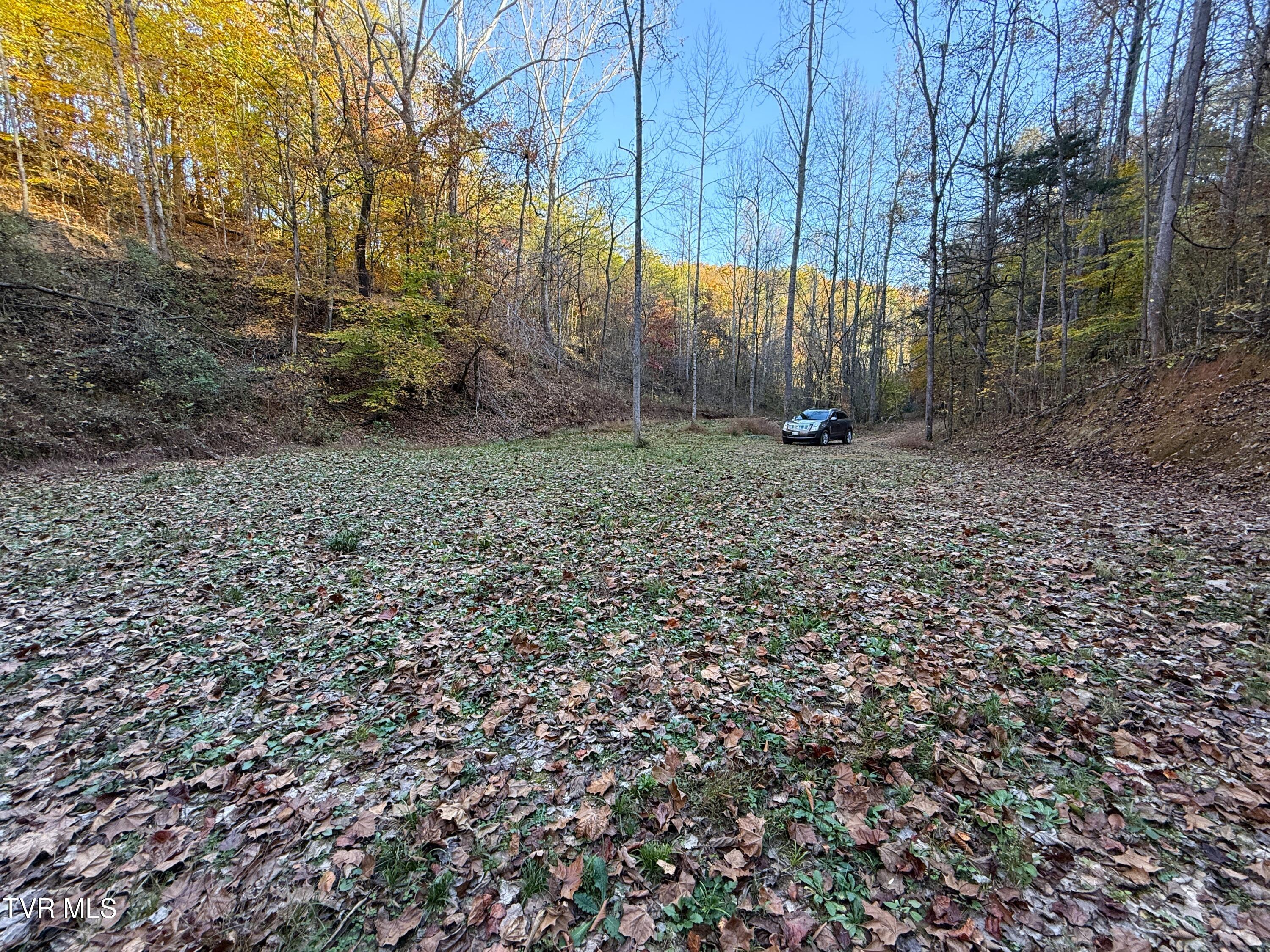 Tract 7 Topaz Way, Parrottsville, Tennessee image 9