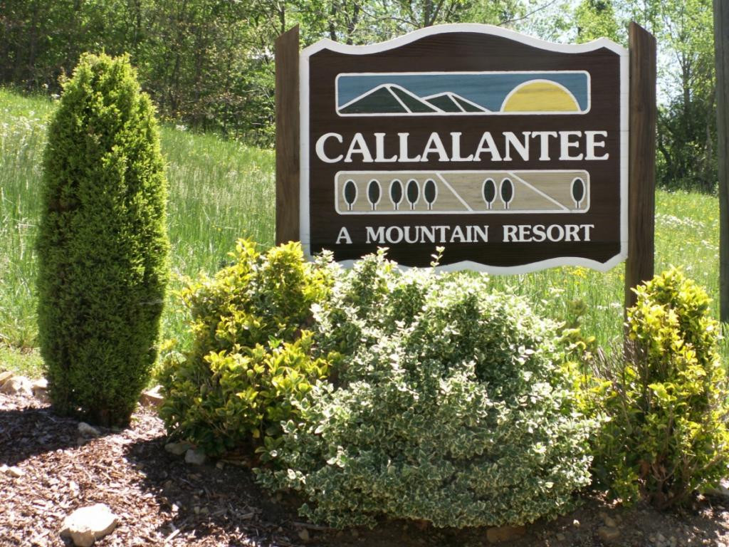 Tbd Callalantee Drive, Mountain City, Tennessee image 2