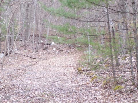 Vacant Land For Sale - TBD Callalantee Drive<br/> Mountain City, TN 37683