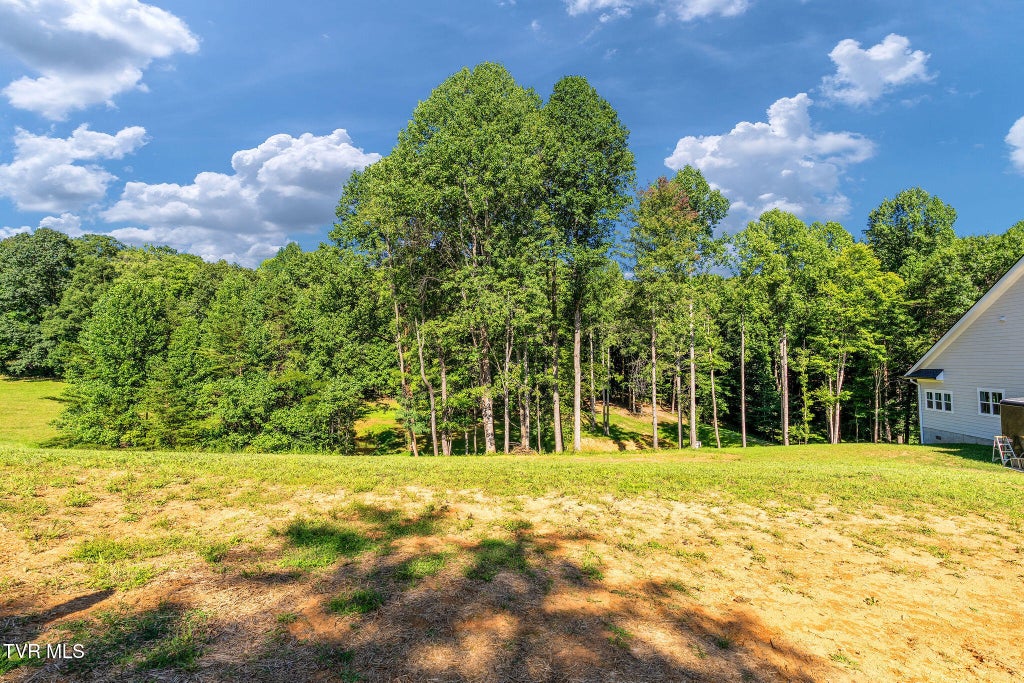 Photo of 150 Water Tank Hill Road, Johnson City, TN 37604 (MLS # 10001356)