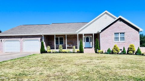 Photo of 355 Wiltshire DR, Gray, TN 37615 (MLS # 9995693)