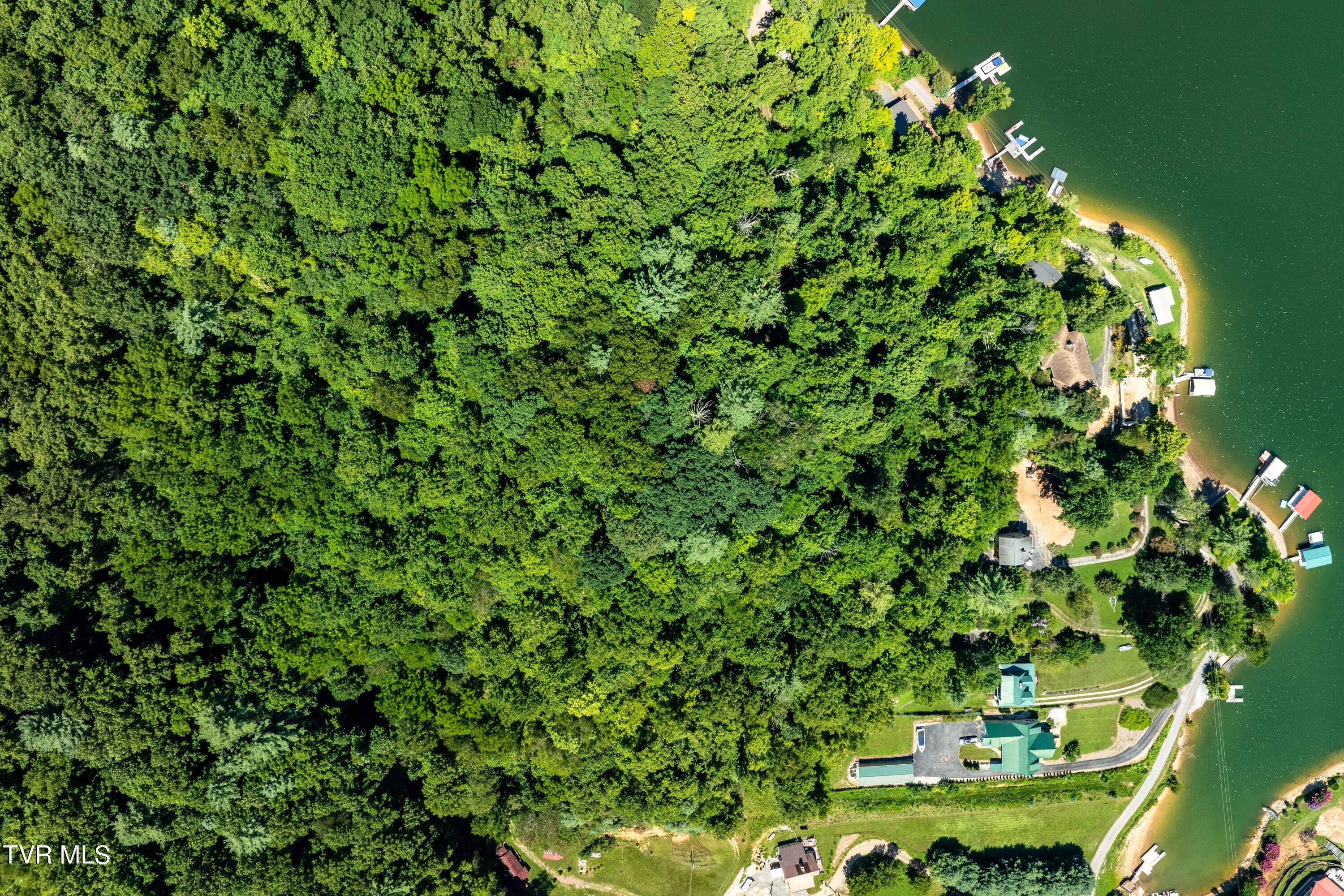 Lot 14b Cable Hollow Road, Butler, Tennessee image 6
