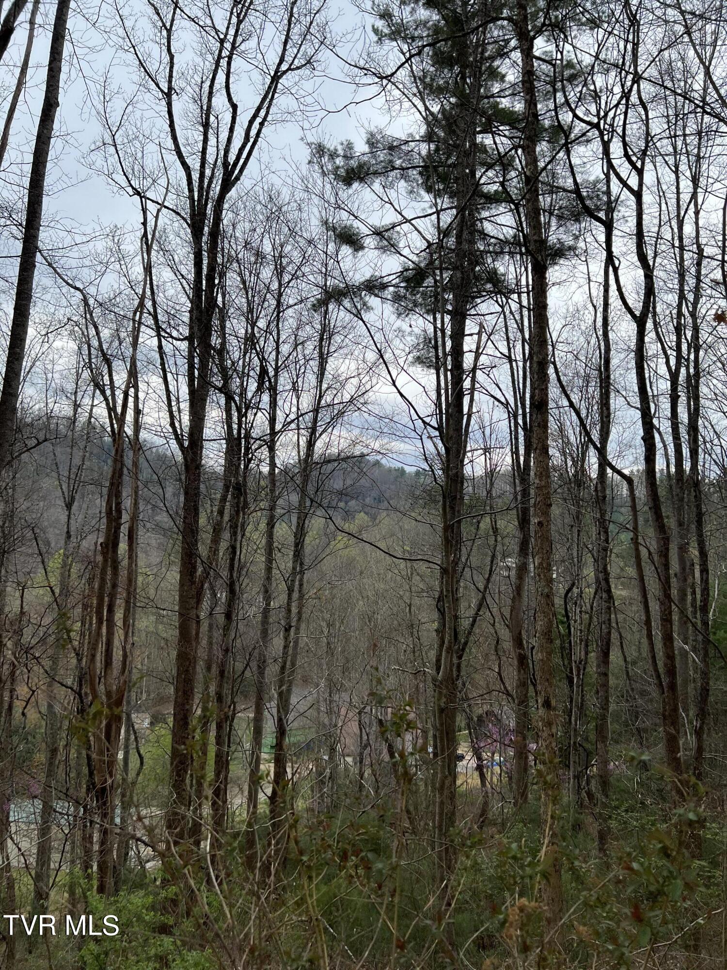 Lot 14b Cable Hollow Road, Butler, Tennessee image 12