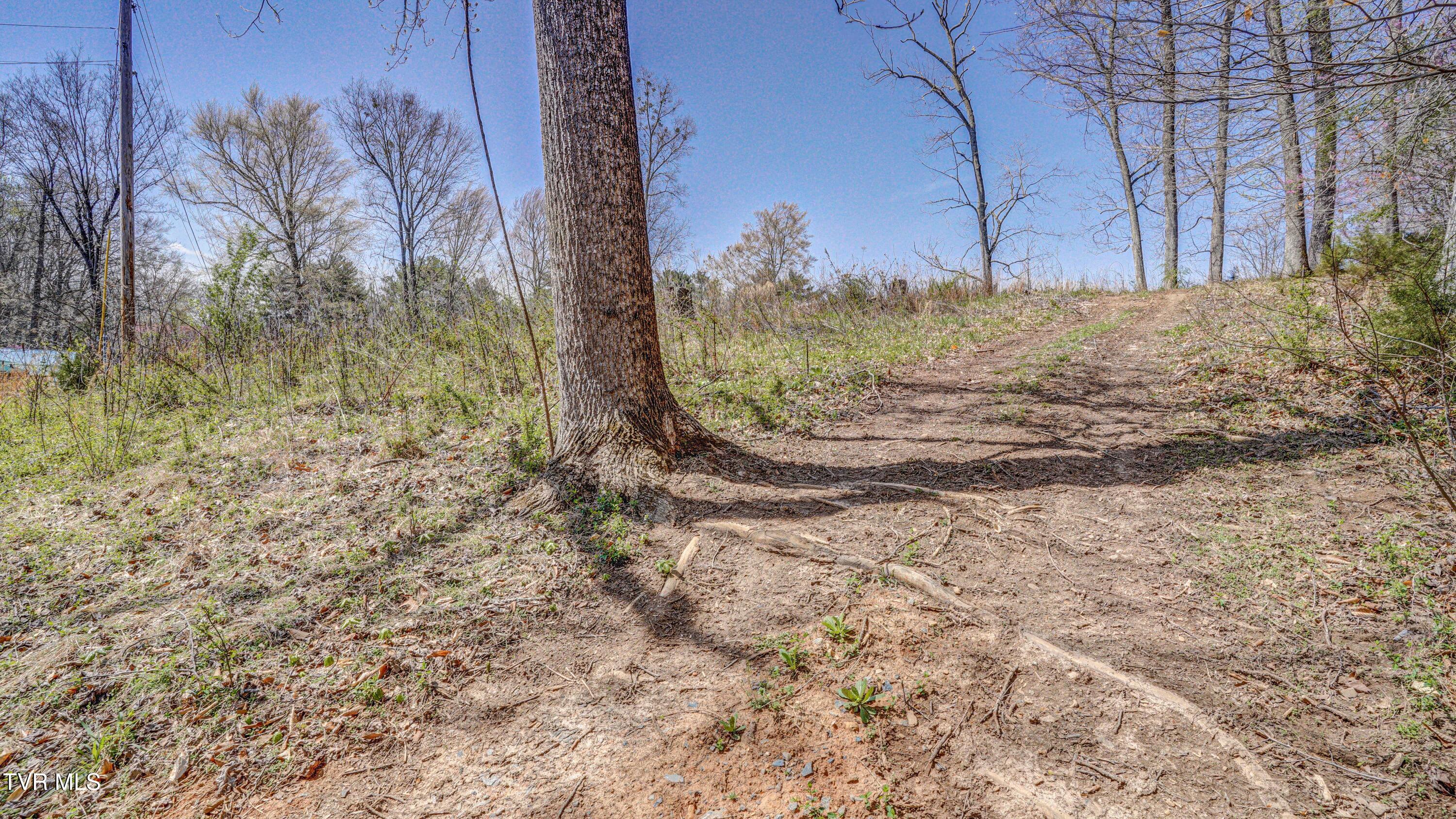 422 Lake Haven Private Drive, Piney Flats, Tennessee image 42