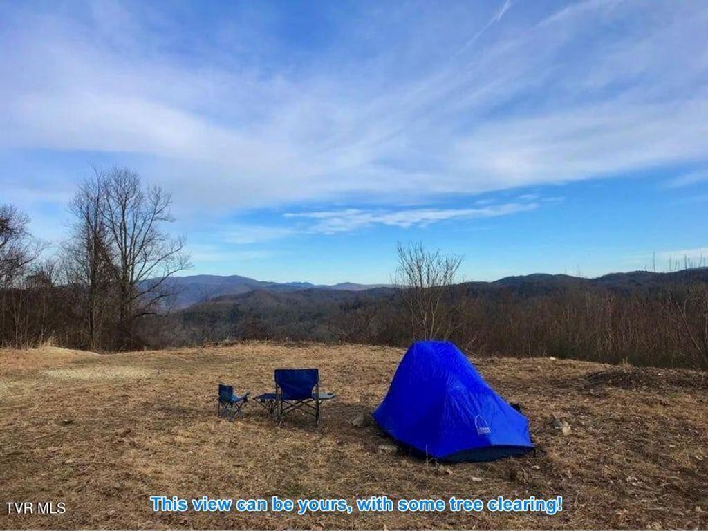 Photo of 614 Tulip Poplar Trail, Butler, TN 37640 (MLS # 9993245)