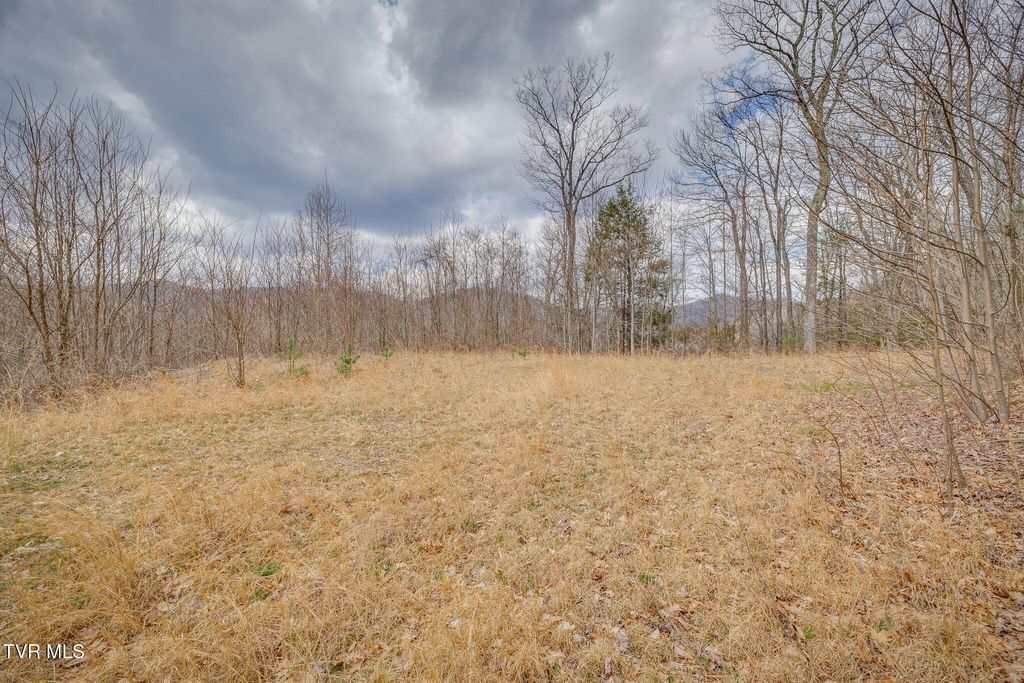 Photo of 614 Tulip Poplar Trail, Butler, TN 37640 (MLS # 9993245)