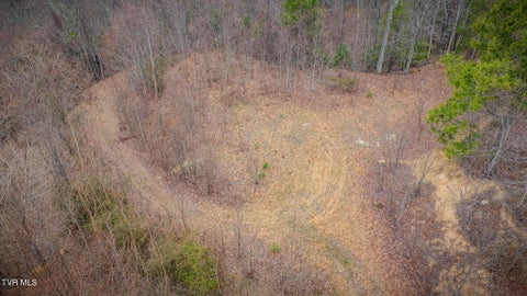 Vacant Land For Sale - 614 Tulip Poplar Trail<br/> Carter County, Butler, TN 37640