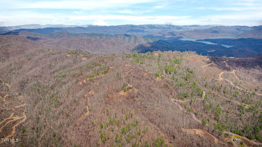 Photo of 614 Tulip Poplar Trail, Butler, TN 37640 (MLS # 9993245)