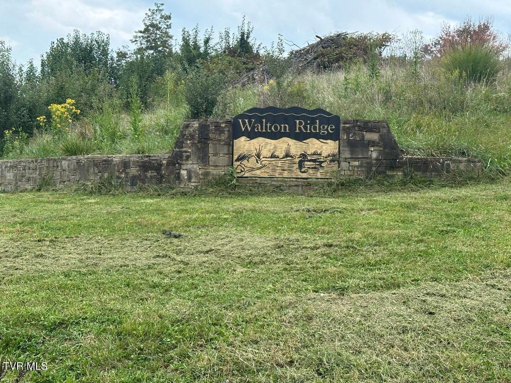 Photo of Tbd Walton Ridge Road, Bristol, VA 24202 (MLS # 9985884)