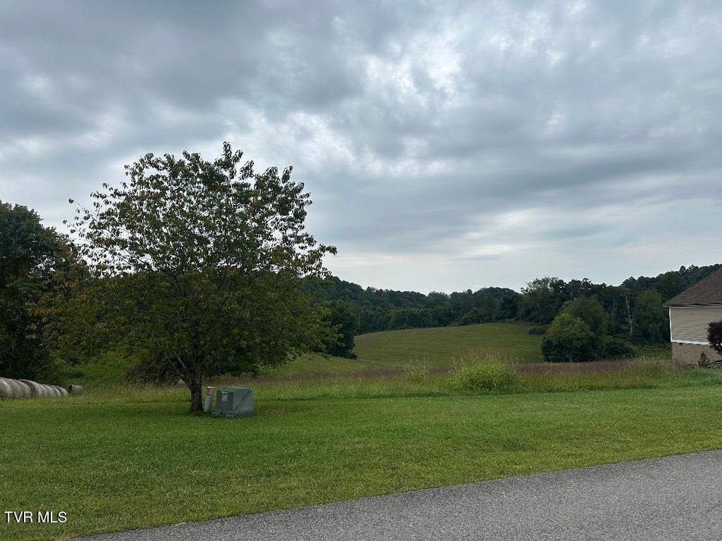 Photo of Tbd Walton Ridge Road, Bristol, VA 24202 (MLS # 9985884)